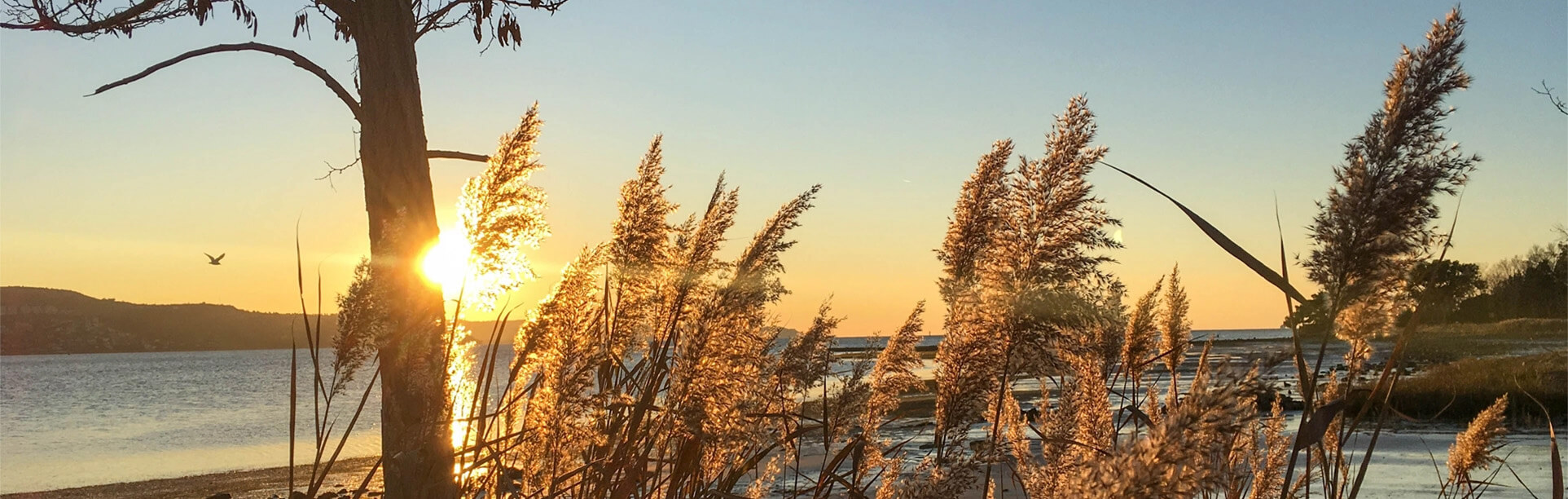 Background image portraying landscape