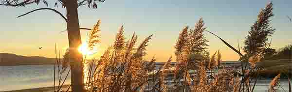 Placeholder image for background image portraying landscape