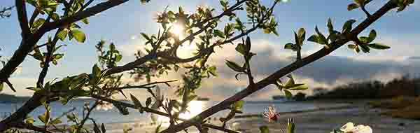 Placeholder image for background image portraying landscape